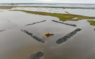 Why Choose a Pontoon Excavator for Your Next Construction Project?