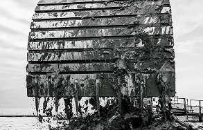 Rectangle 24 (13) Wilco Marsh Buggies | amphibious-excavator-florida